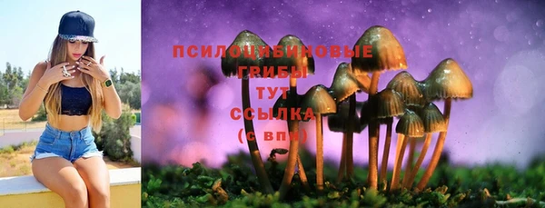 хмурый Алексин