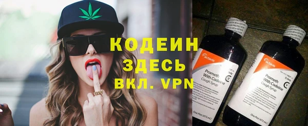 прущий лед Дмитриев