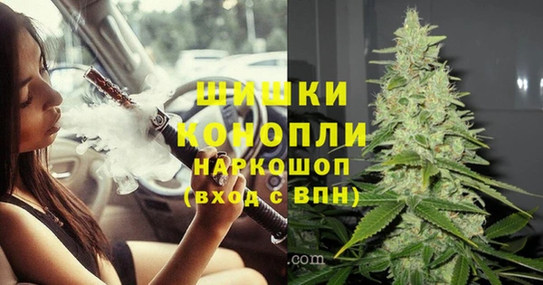 трава Абаза